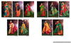 Meghdoot Mizuki Tradition Fancy Ethnic Wear Designer Saree Collection